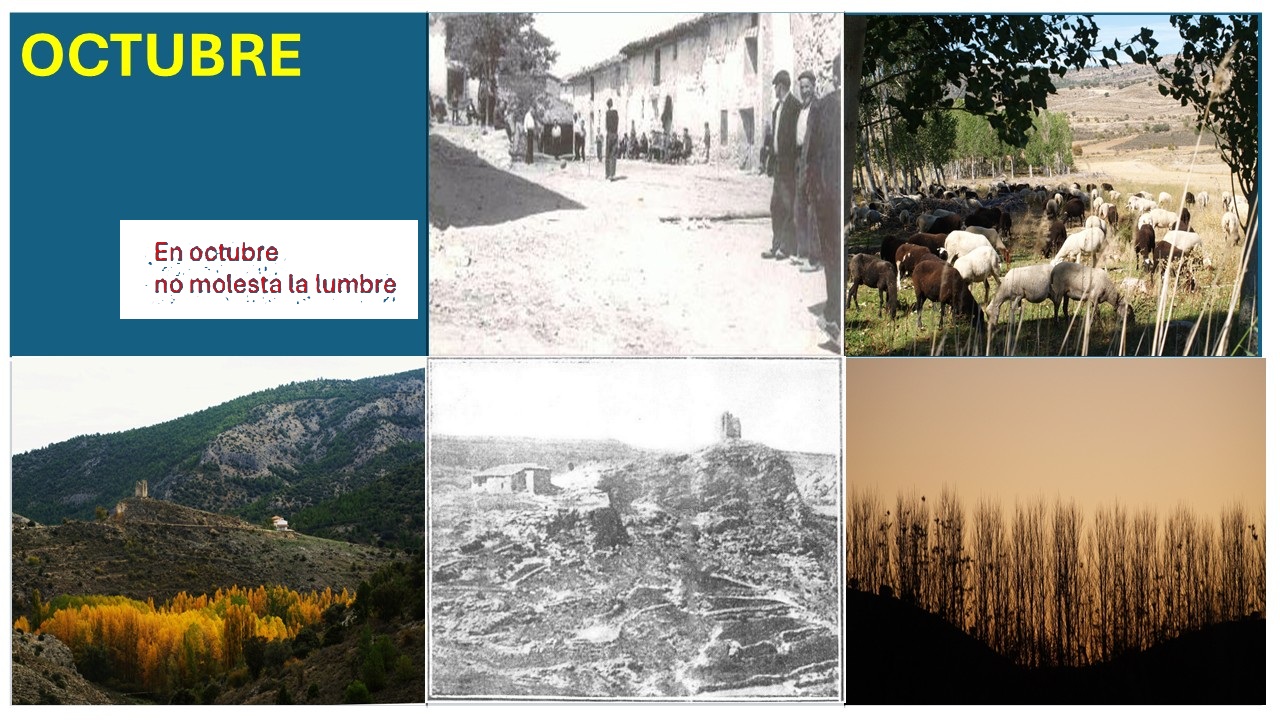 Imagen 10 