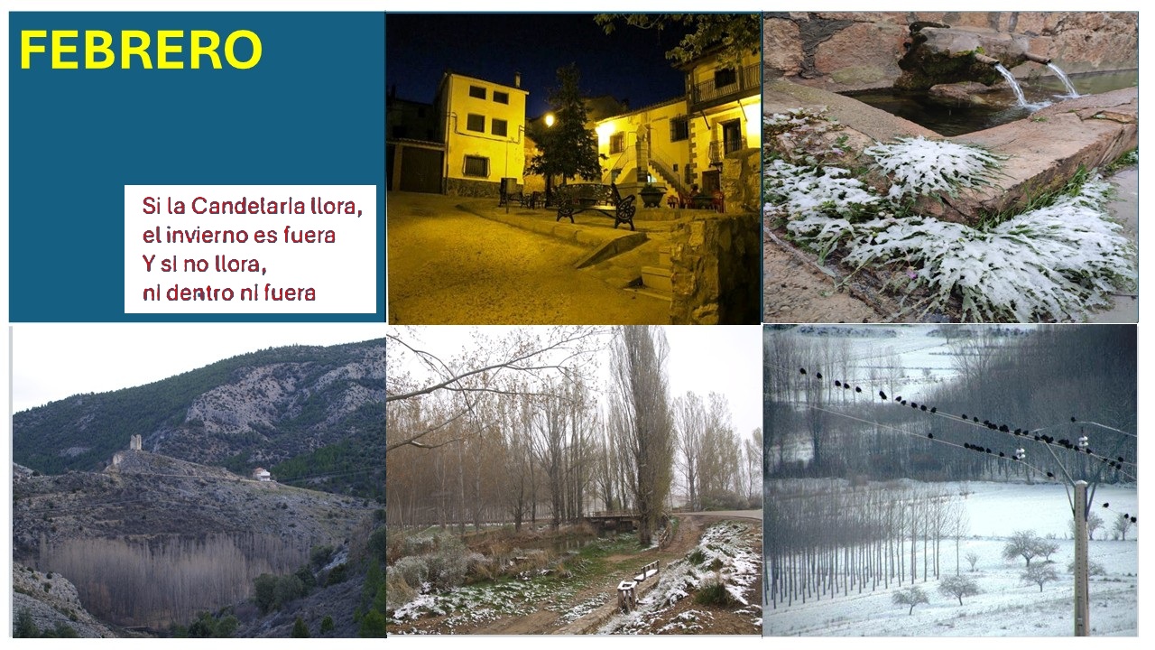Imagen 2 