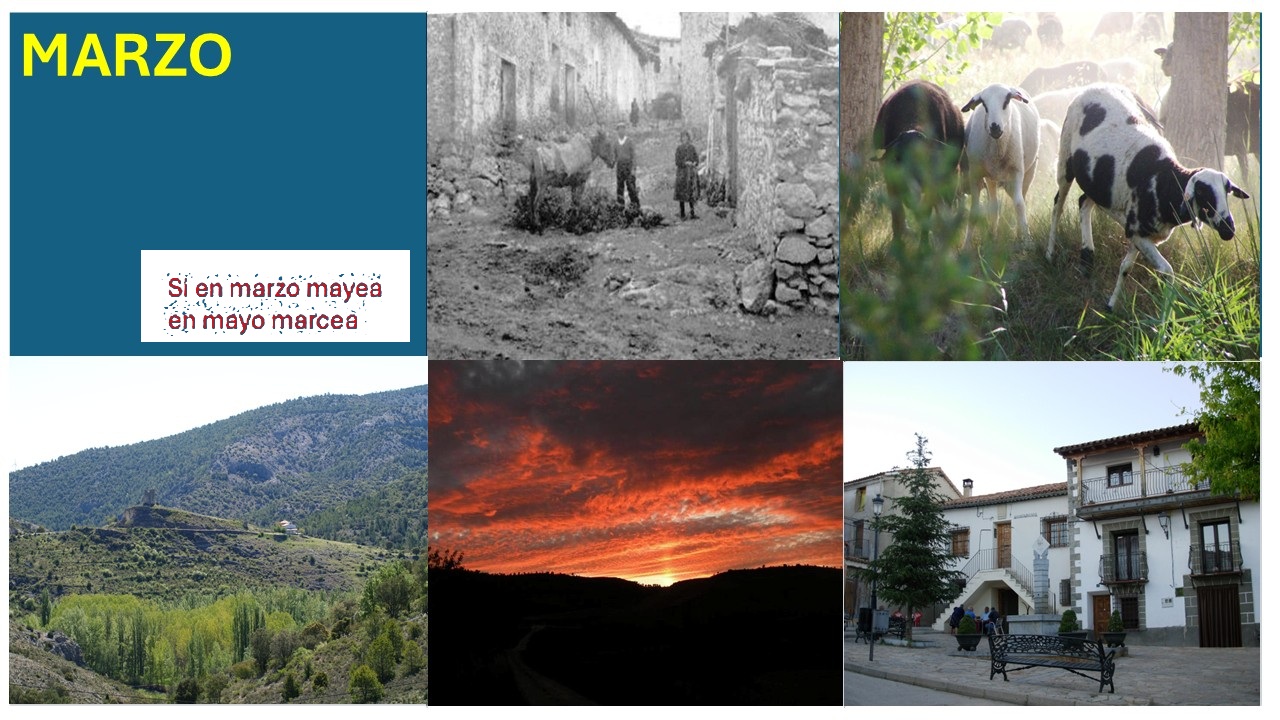 Imagen 3 