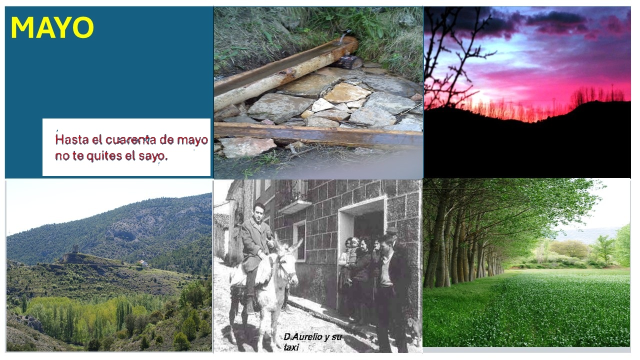 Imagen 5 