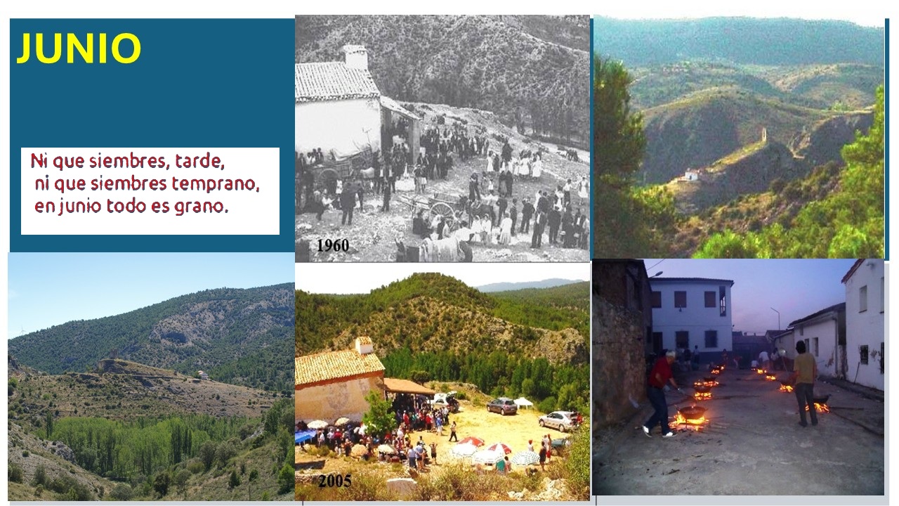 Imagen 6 