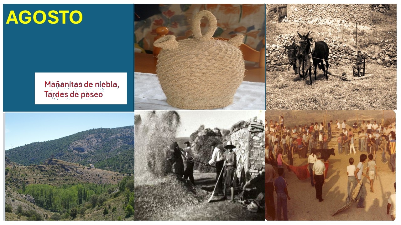 Imagen 8 