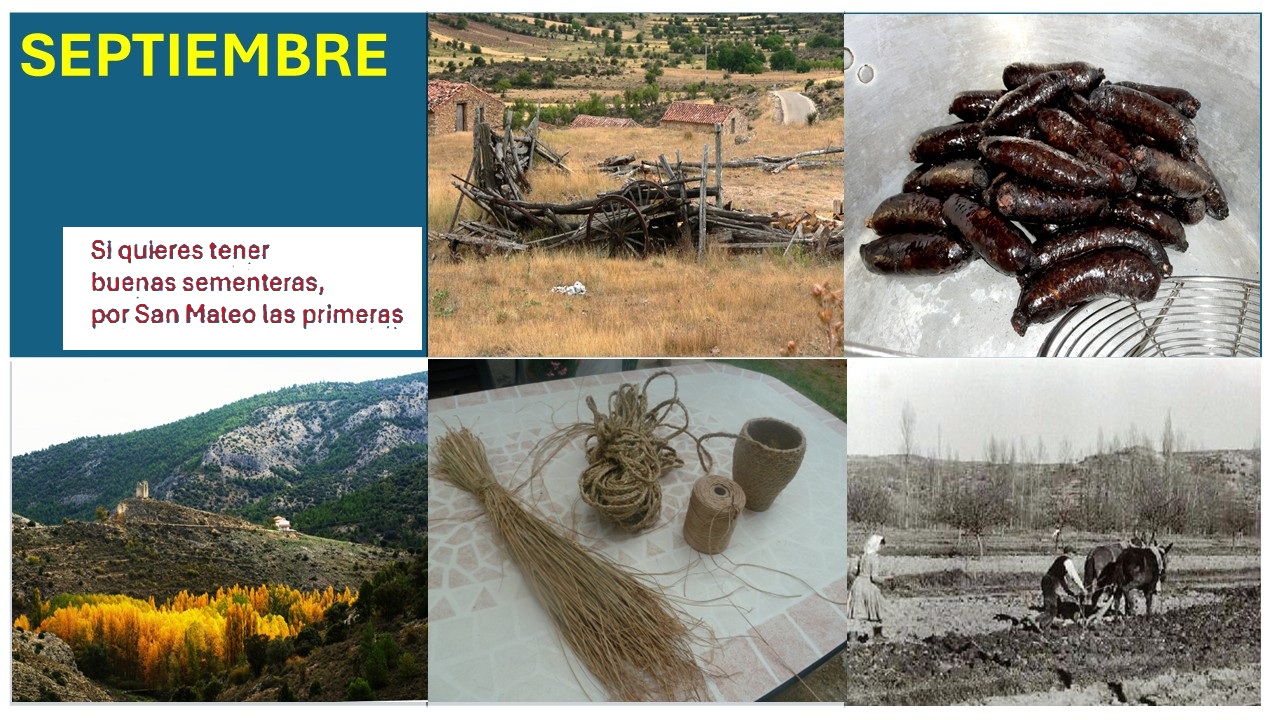 Imagen 9 